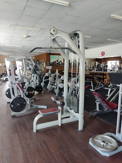 Golden Gym - Butterworth 2 AC9h4nr4ESQHCY2erUny5TtZW sj9PEL6P1LGS byvP7bDRB5h7j4o4PuHmZIQ8YHstuqdGLVaEDHf 3RorAmoEjQCtaj4U050VNmdFP 9mPo9Ntvak6TWcqA7TwOreNxJHQv11AxsAVTgw408 h544 k no