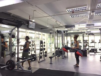 LifenFitness TTDI - Kuala Lumpur 2 AF1QipMsLPe6Gd0Gtmt 4sPoHXlHMuTnE4Sp3ftWb0g9w408 h306 k no