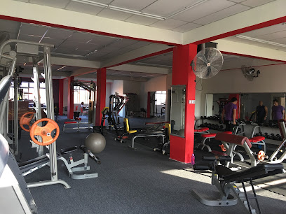 Shredded Gym - Marang 2 AF1QipNHmAz6AhDgJKgSNrOM 4mbXO3matyOAL7CLS8Bw408 h306 k no