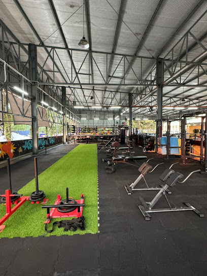 Ara Gym - Petaling Jaya 2 AF1QipNdqecn7OvIBr rEDHDZloq3gXcr0tAYo4Ic1pMw408 h544 k no