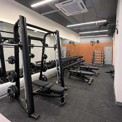 Anytime Fitness Emira Shah Alam - Shah Alam 2 AF1QipO6qCPUJ4TLf5yWTs2rU9Iqx5eyBVnxCQqCdT8Dw408 h409 k no