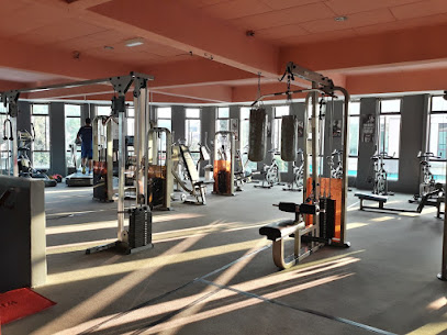 Thor Fitness Melaka - Melaka 2 AF1QipOrG oJZpaupjXXK2aEzSMHrfMExv2F6bWZdF4dw408 h305 k no