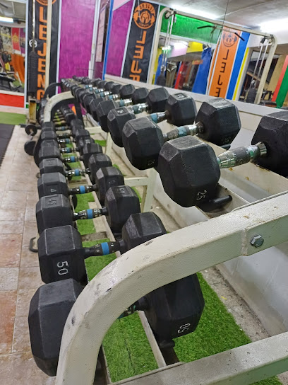 Gym slim Lejeng - Kota Bharu 2 AF1QipPSivLIoVY69nGtmQv0ORxlkrp4mbg0LX3Q4Aefw408 h544 k no
