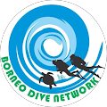 Borneo Dive Network Borneo Dive Network
