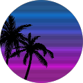 Vigneesh Vigneesh