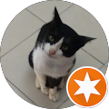 EnMeow EnMeow